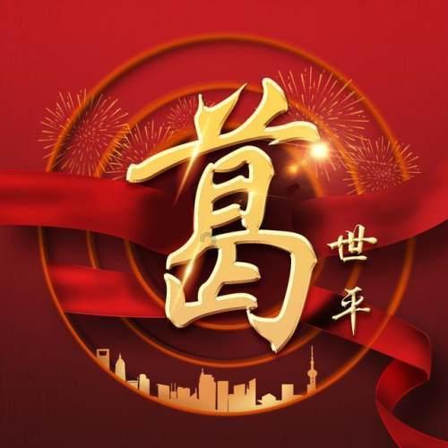 无忧国际wy6999
